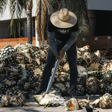 Cargar imagen en el visor de la galería, Tequila Los Tres Toños PLATA ANCESTRAL 100% Agave - 750ml 42% alc. vol.